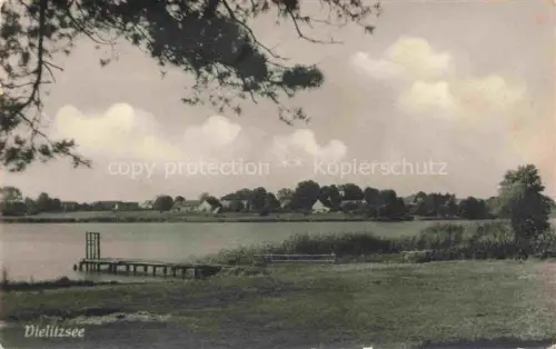 AK / Ansichtskarte Loebnitz Delitzsch Sachsen Dielitzsee See Steg Schilf Haeuser Baeume Wiese