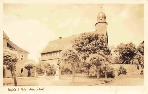 AK / Ansichtskarte Eisfeld Thueringen Altes-Schloss Zwiebelturm Schlosstor Baeume Stadtgebaeude Historismus