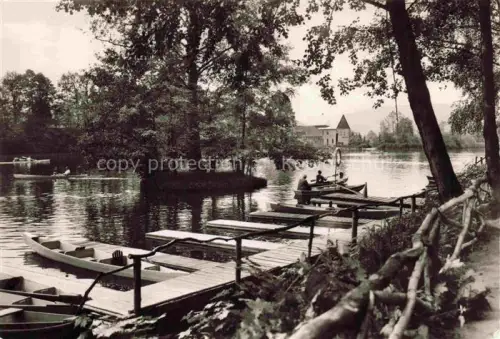 AK / Ansichtskarte Eichen Oppach Gondelteich Ruderboote Steg Anleger Baeume See Wohnhaus