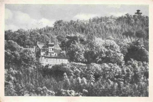 AK / Ansichtskarte Loebau Sachsen Berghotel-Honigbrunnen Berghotel Aussichtsturm Wald Terrasse