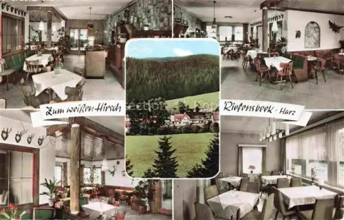 AK / Ansichtskarte Riefensbeek-Kamschlacken Osterode Harz Niedersachsen Hotel-Pension Zum-weissen-Hirsch Restaurant Gaststube Soesetalsperre Wald Harz Innenaufnahme