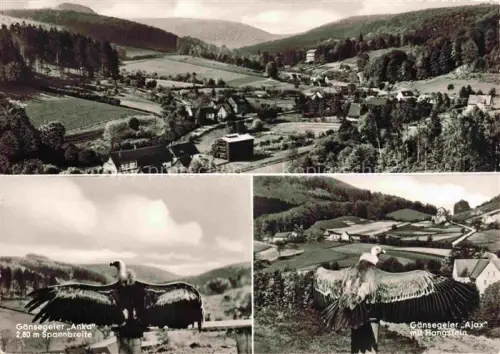 AK / Ansichtskarte Berlebeck Detmold Lippe NRW Adlerwarte Gaensegeier Panorama Tal Dorf Wald Huegel Hangstein