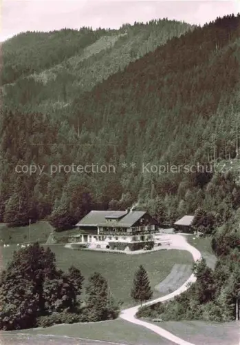 AK / Ansichtskarte BAD WIEssEE Tegernsee Bayern Berggasthof-Sonnenbichl Bergwiese Nadelwald Tegernsee Landhaus Zufahrtsweg