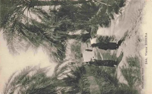 AK / Ansichtskarte Biskra Algerie Palmenhain Sandweg Arabische-Frauen Traditionelle-Kleidung Mauer Oase