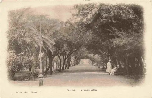 AK / Ansichtskarte Biskra Algerie Grande-Allée Baumallee Palme Weg Arabische-Person Bank Park