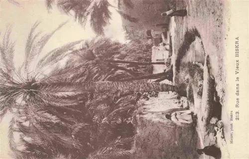 AK / Ansichtskarte Biskra Algerie Rue-dans-le-Vieux-Biskra Palmen Lehmhaeuser Sandweg Arabische-Personen Kanal Oasendorf