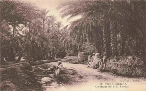 AK / Ansichtskarte Biskra Algerie Chemin-de-Sidi-Barkat Palmen Oasenweg Kanal Arabische-Personen