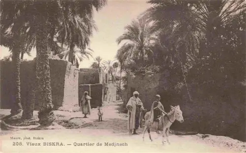 AK / Ansichtskarte Biskra Algerie Quartier-de-Medjnech Palmen Lehmmauern Sandweg Arabischer-Mann Esel