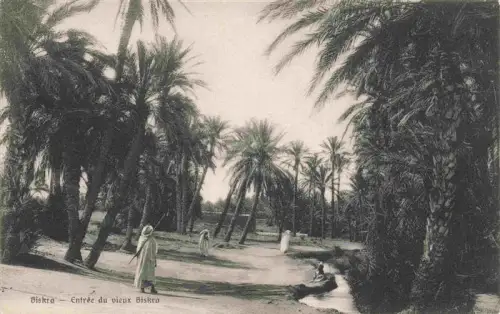 AK / Ansichtskarte Biskra Algerie Entrée-du-vieux-Biskra Palmenhain Arabische-Personen Sandweg Wasserkanal Oase