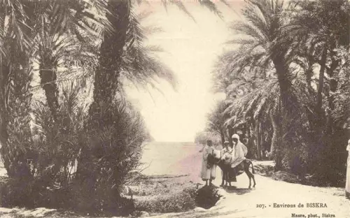 AK / Ansichtskarte Biskra Algerie Palmenallee Esel Personen Weg Oase