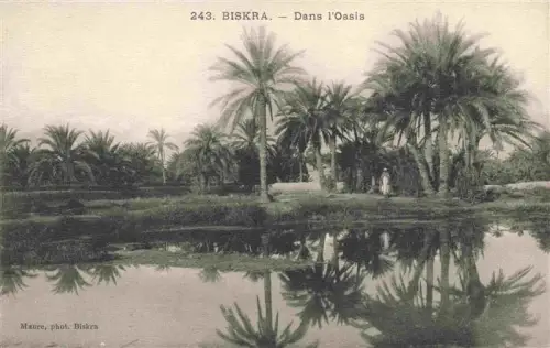 AK / Ansichtskarte Biskra Algerie Oasis Wasserflaeche Palmen Spiegelung Person