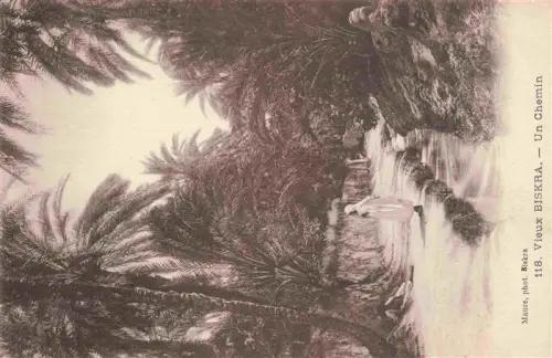 AK / Ansichtskarte Biskra Algerie Palmenallee Weg Person Schatten Oase Vieux-Biskra