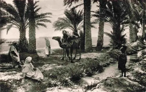 AK / Ansichtskarte Biskra Algerie Kamel Palmen Personen Oasis Arabische-Kleidung Bewaesserungsgraben