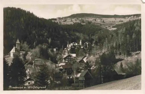 AK / Ansichtskarte Woelfelsgrund Urnitztal Miedzygorze Glatz PL Panorama Kirche Dorf Nadelwald Gebirge Tal
