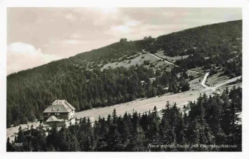 AK / Ansichtskarte Neue-Schlesische-Baude Schronisko-Na Hali-Szrenickiej PL Neue-Schlesische-Baude Pferdekopfsteine Fichten Bergweg Riesengebirge