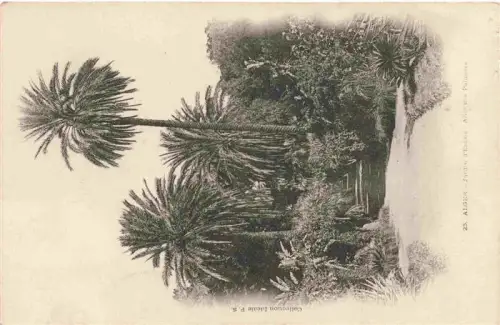 AK / Ansichtskarte ALGER  Algerie Jardin-d Essais Allée-des-Palmiers Palmen Weg Park Tropen