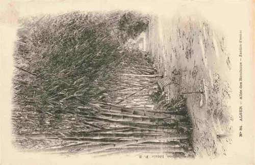 AK / Ansichtskarte ALGER  Algerie Allée-des-Bambous Jardin-d Essai Bambus Weg Bank Park