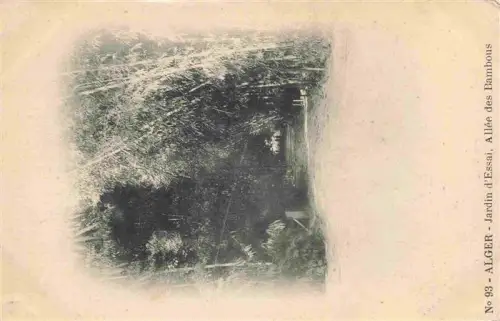 AK / Ansichtskarte ALGER  Algerie Jardin-d Essai Allée-des-Bambous Bambus Allee Park Baumtunnel