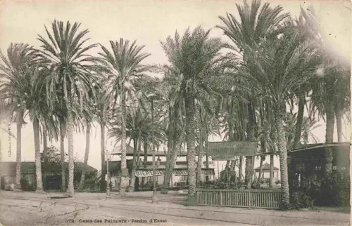 AK / Ansichtskarte ALGER  Algerie Jardin-d Essai Oasis-des-Palmiers Palmen Botanischer-Garten Biergarten Pavillon