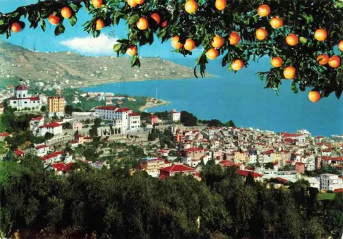 AK / Ansichtskarte SANREMO San Remo Liguria IT Panorama Orangenbaeume Stadtblick Meer Blumenriviera Kirche Daecher Huegel