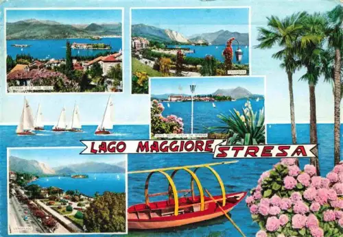 AK / Ansichtskarte Stresa Borromeo Lago Maggiore IT Lago-Maggiore Isole Segelboote Panorama Lungolago Palmen Blumen Boot Berge