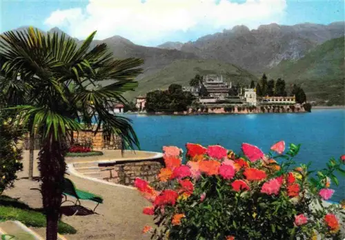 AK / Ansichtskarte Isola-Bella Lago Maggiore Verbano-Cusio-Ossola PiemonteIT Isola-Bella Lago-Maggiore Palme Blumen Promenade Schloss Berge Park