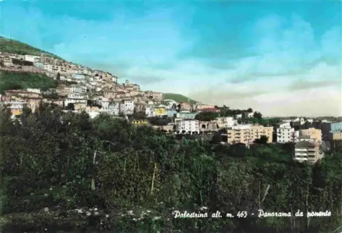 AK / Ansichtskarte Palestrina Roma Lazio IT Panorama-da-ponente Huegel Weinberg Altstadt Neubauten Wald
