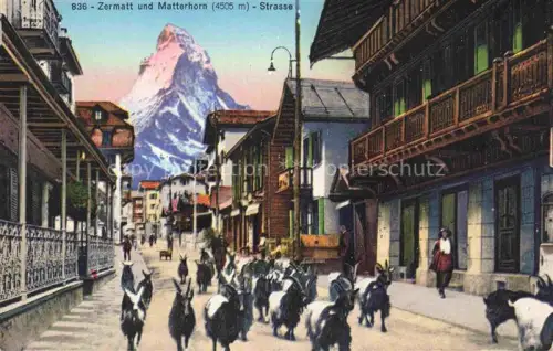 AK / Ansichtskarte ZERMATT VS Matterhorn Strasse Ziegen Dorfstrasse Holzhaeuser Bergdorf