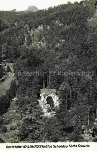 AK / Ansichtskarte Bad Schandau Saechsische Schweiz Sachsen Gaststaette Waldhaeusl Wald Felsen Panorama Sommerblick