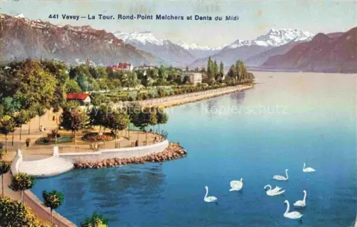 AK / Ansichtskarte VEVEY VD La-Tour Rond-Point-Melchers Dents-du-Midi Lac-Léman Schwaene Uferpromenade Park Berge