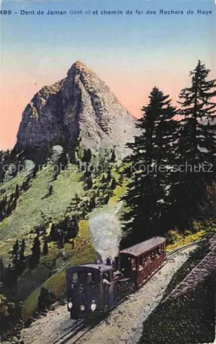 AK / Ansichtskarte Dent de Jaman 2045m Montreux VD Dent-de-Jaman Rochers-de-Naye Zahnradbahn Dampflokomotive Berge Tannen Felswand