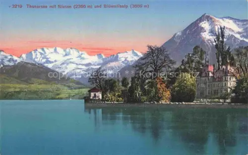 AK / Ansichtskarte Thunersee THUN BE Thunersee Niesen Blueemlisalp See Berge Schloss Alpen koloriert Photoglob