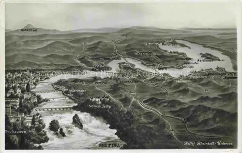 AK / Ansichtskarte RHEINFALL Schaffhausen SH Relief-Rheinfall-Untersee Panoramakarte Rhein Schloss-Laufen Neuhausen Stein-am-Rhein Radolfzell