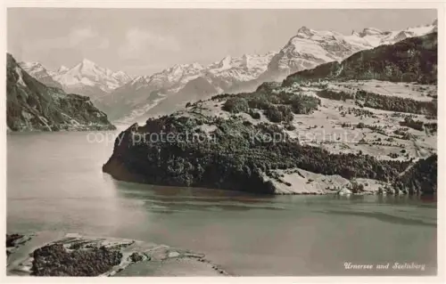 AK / Ansichtskarte Seelisberg UR Urnersee See Berge Alpen Wald Wiesen Halbinsel