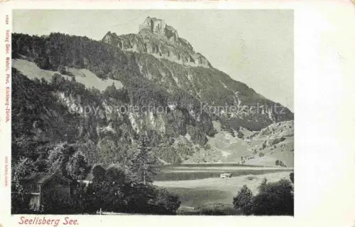 AK / Ansichtskarte Seelisbergersee Seelisberg UR Seelisbergersee See Bergpanorama Felsen Wald Huette