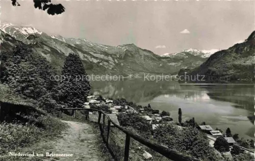 AK / Ansichtskarte Niederried Brienzersee Interlaken BE Brienzersee See Bergpanorama Dorf Alpen Wald Uferweg