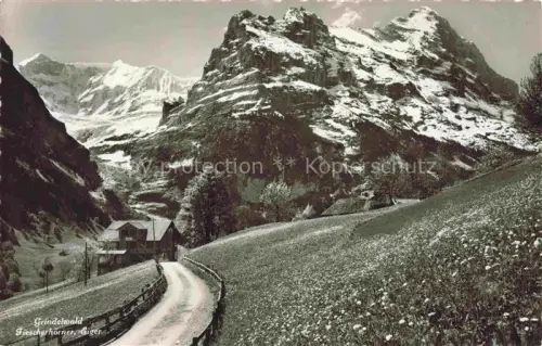 AK / Ansichtskarte Grindelwald BE Fiescherhoerner Eiger Bergpanorama Strasse Wiesen Haeuser Alpen