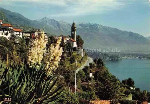 AK / Ansichtskarte Ronco sopra Ascona Locarno TI Lago-Maggiore Kirchturm Dorf Berge Agave See Haus Strasse