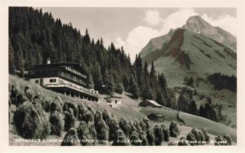 AK / Ansichtskarte Sonnenfluh-Gehren Lechleiten Warth Vorarlberg AT Berghaus-Sonnenflueh Biberkopf Berglandschaft Wald Heustadel Alm