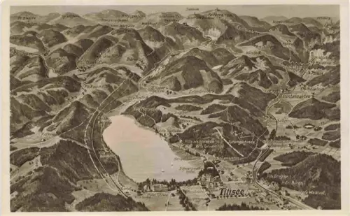 AK / Ansichtskarte TITISEE Schwarzwald BW Titisee-See Schwarzwald Vogelperspektive Panoramakarte Schwarzwald-Hotel Hotel-Titisee Hinterzarten Berge