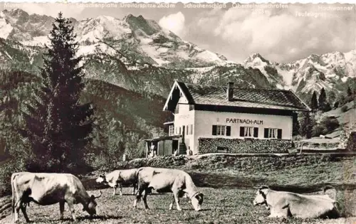 AK / Ansichtskarte Partnachalm Garmisch-Partenkirchen Bayern Partnachalm Partnachklamm Wetterstein Schachenplatte Dreitarspitze Schachenschloss Kuehe Alm
