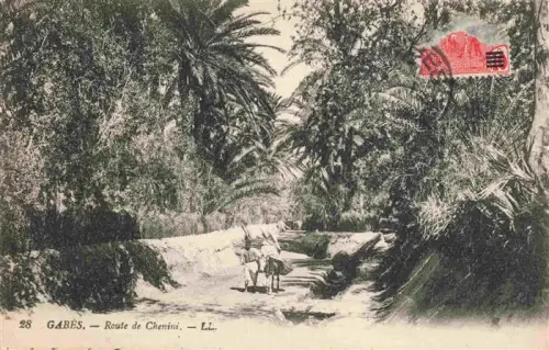 AK / Ansichtskarte Gabes Tunesie Route-de-Chenini Palmen Oase Weg Esel Nordafrika