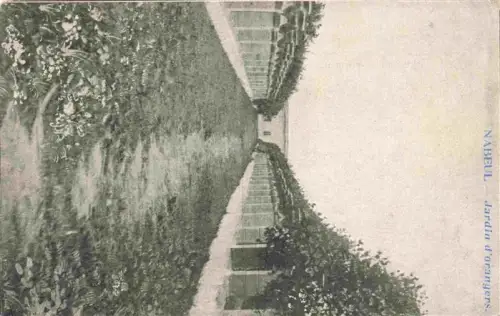 AK / Ansichtskarte Nabeul Tunesie Jardin-d orangers Orangengarten Allee Baeume Garten