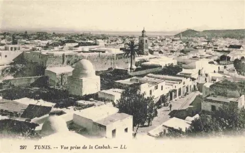 AK / Ansichtskarte TUNIS Tunesie Casbah Moschee Minarett Kuppel Altstadt Panorama Palme Flachdaecher