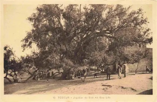 AK / Ansichtskarte Tozeur Tunesie Jujubier Sidi-Ali-Bou-Lifa Baum Menschen Mauer Platz