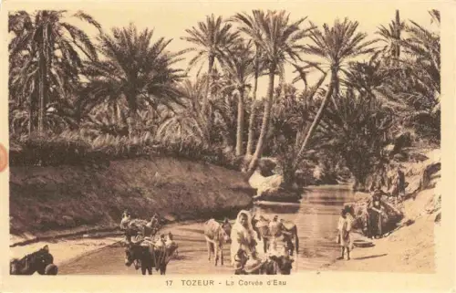 AK / Ansichtskarte Tozeur Tunesie Corvée-d Eau Oase Palmen Fluss Esel Wassertraeger Frauen
