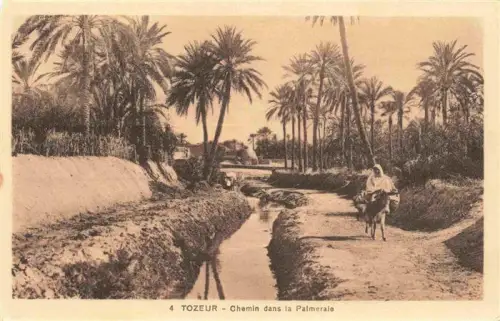 AK / Ansichtskarte Tozeur Tunesie Palmeraie Chemin Bewaesserungskanal Palmen Esel Frau Weg