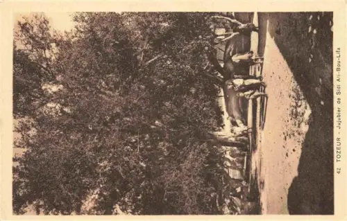 AK / Ansichtskarte Tozeur Tunesie Jujubier Sidi-Ali-Bou-Lifa Baum Kinder Schatten Platz