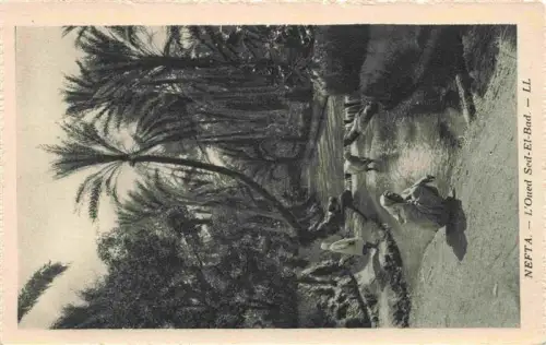 AK / Ansichtskarte Nefta Tunesie L Oued-Sed-El-Bad Fluss Palmen Oase Frau Mann Esel Wasser