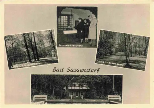 AK / Ansichtskarte Sassendorf Bad Brunnenhaus Brunnen-Ausschank Partie-im-Birken-Wald Birkenwald Kuranlage Kurort